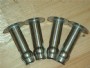 Ferrule